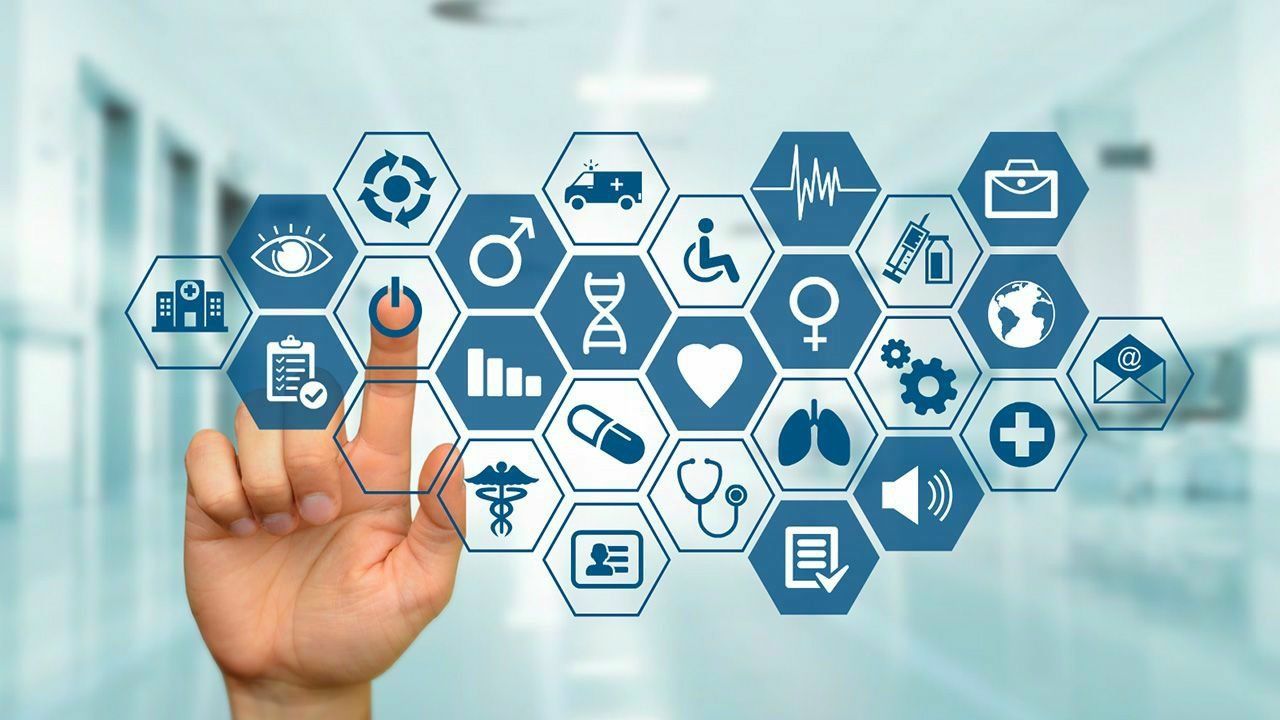 O Que É Ser Vegetariano?